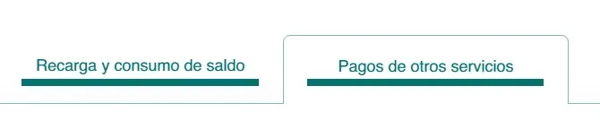 Pagos de otros servicios