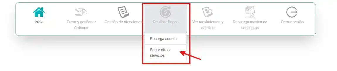 Pago de Otros Servicios